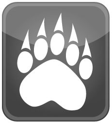 BearCreek chicklet 3