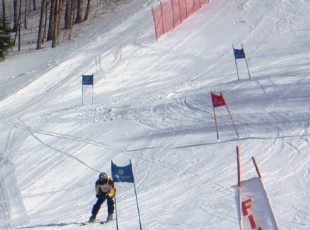 GS_2_P2132181