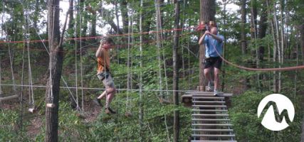 Camelback TreeTop