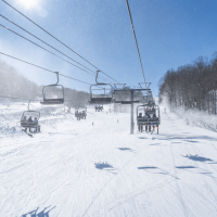 20240218 hv lewis  11 720x480 9ff71522 1fcf 4ede fef246bdbd83 min