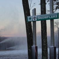 20231122 jfbb nape  min