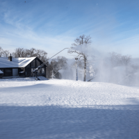 20221213 lm lewis  2 720x480 9f04efb9 76d4 4e0d 9c4dffc14897bf7 min