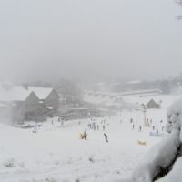 20240106 wt beard 0021 720x405 66ba8d36 4372 4452ec d9710ecfcc54 min