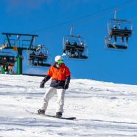 20240113 wt beard 0010 720x405 c7d06239 87f5 46c9 b9a1d26e4480 min