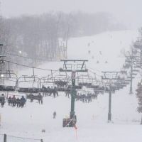 20240119 wt beard 0015 720x405 3bf22e664bc 4b61 a808f3e299d8221 min