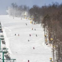 20240120 wt beard 0004 720x405 ba48c483 321c 40d7 adb0b917dc306b min