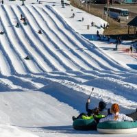 20240204 wt beard 0029 720x405 a400639b bed4 4b7e 8589ad1c0cd175a min