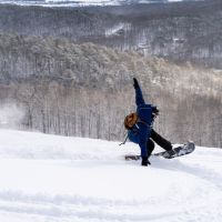 20240217 wt beard 0020 720x480 1a407b58 cb85fd3 9864f2817eed101 min