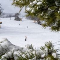 20240217 wt beard 0042 720x480 32a9d7dd 685f 4e25 ac93dd0763c4 min