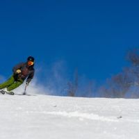 20240218 wt beard 0004 720x405 f95732da 6302 4125 9c8efc0c8c05768 min